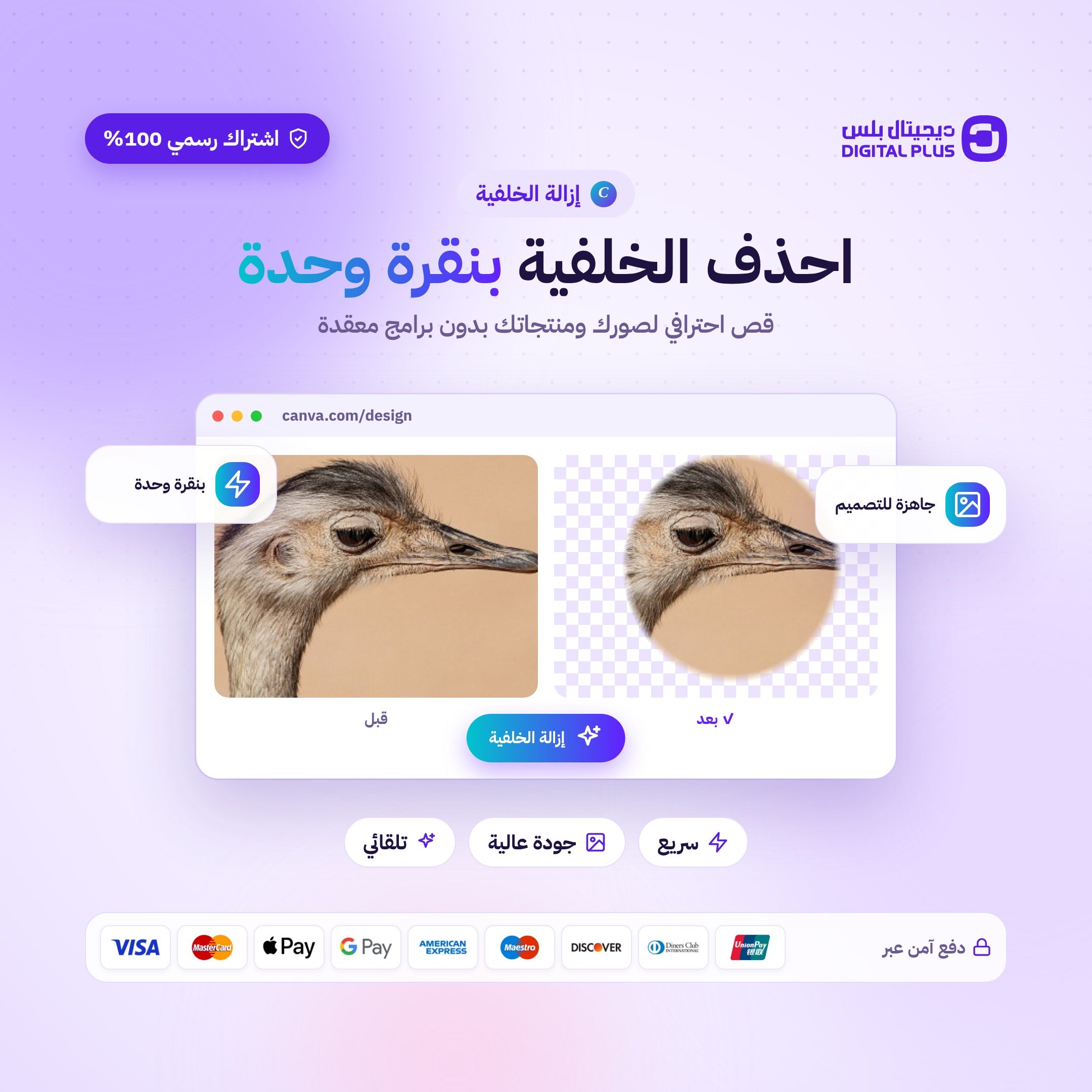 اشتراك كانفا برو التعليمي لمدة سنة CANVA